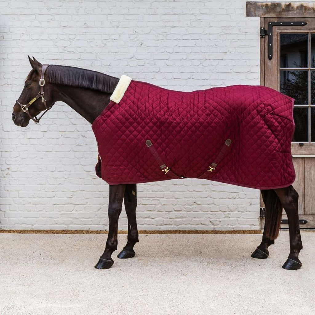 Kentucky Coperta da scuderia 400g Bordeaux