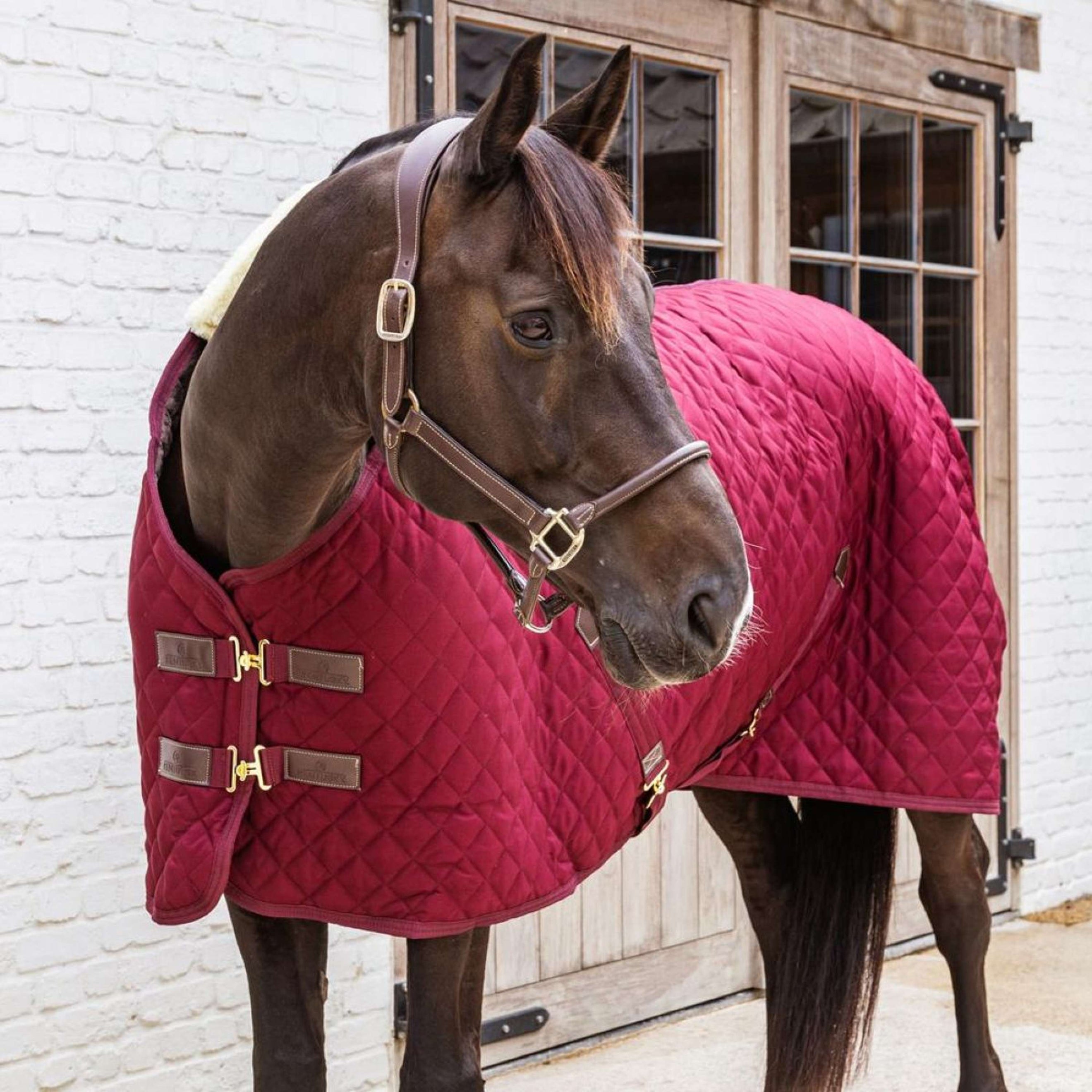 Kentucky Coperta da scuderia 400g Bordeaux Kentucky Coperta da scuderia 400g Bordeaux