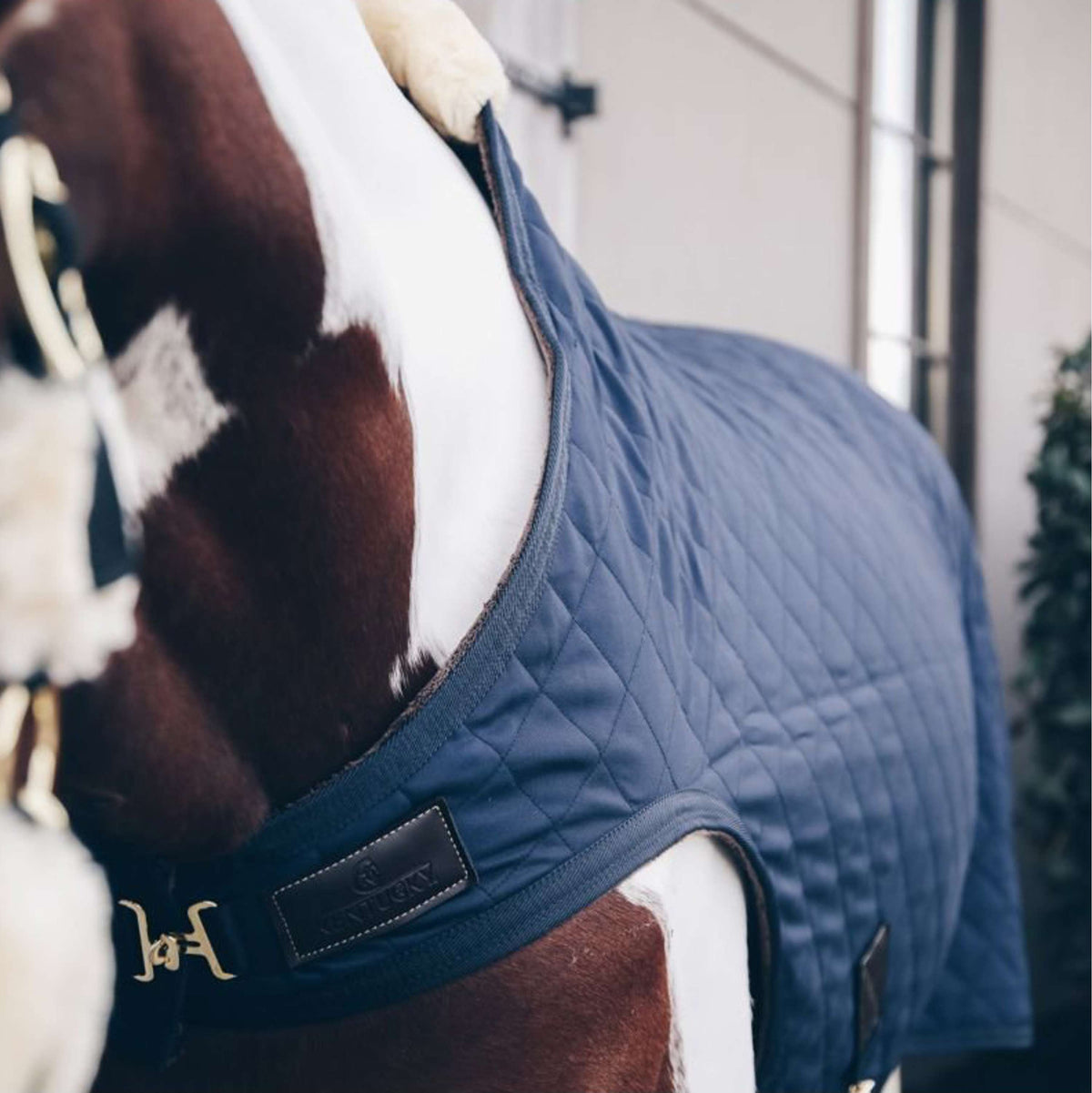 Kentucky Horsewear Coperta per giostra 160 g Navy
