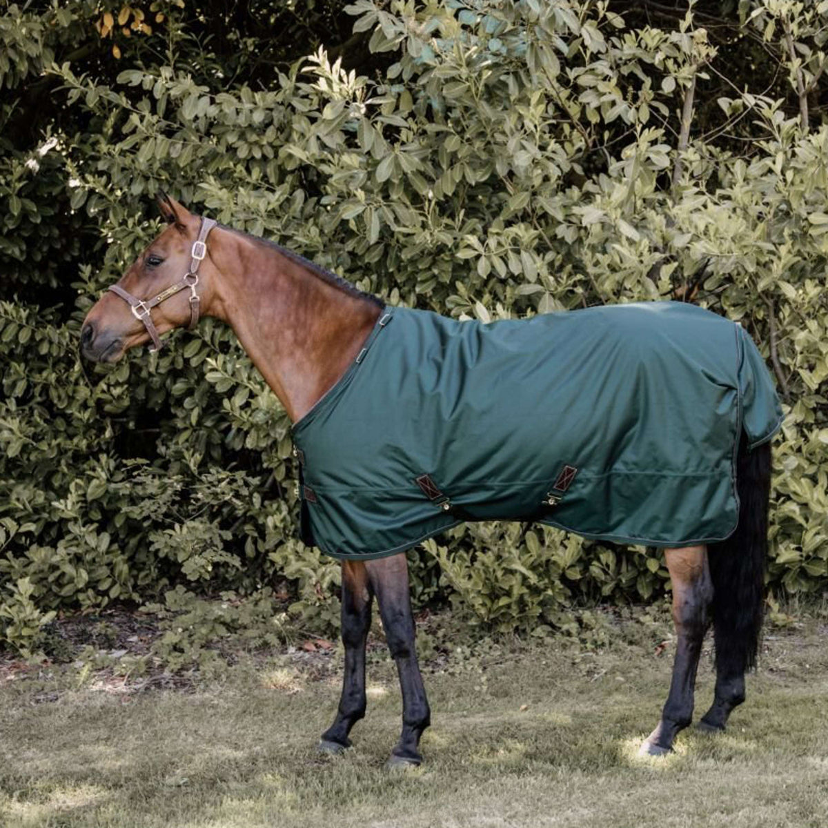 Kentucky Horsewear Coperta Turnout All Weather Verde scuro
