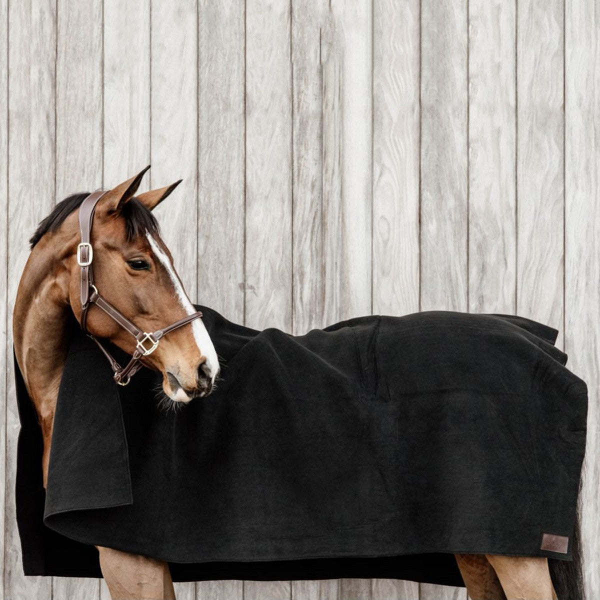 Kentucky Horsewear Coperta in Pile Heavy Square Nero