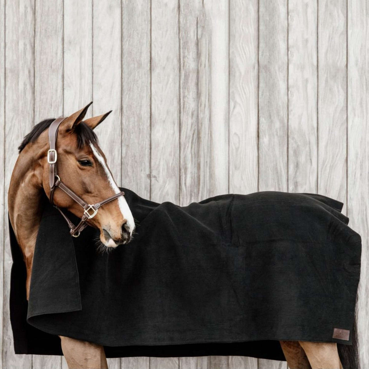 Kentucky Horsewear Coperta in Pile Heavy Square Nero