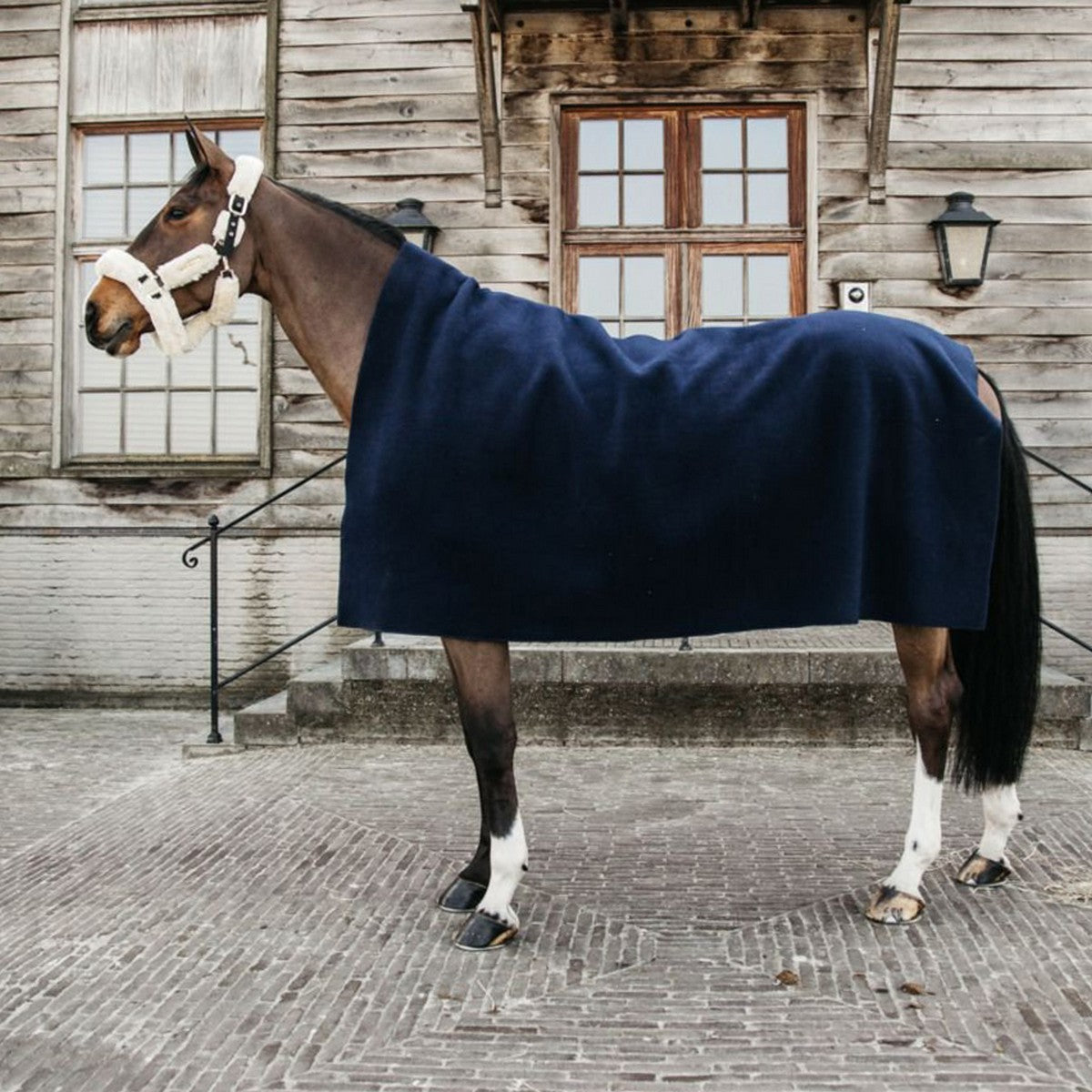 Kentucky Horsewear Coperta in Pile Heavy Square Navy
