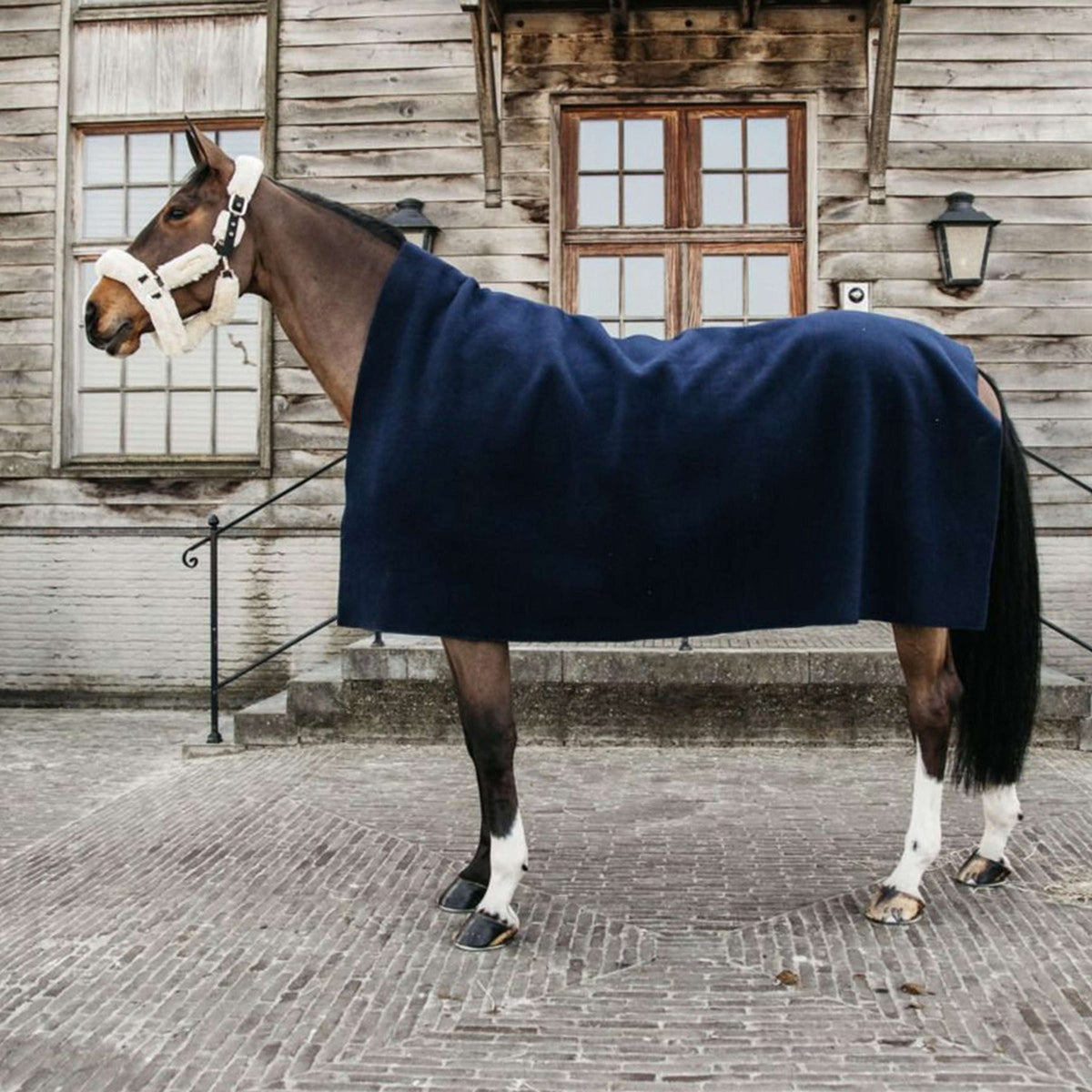 Kentucky Horsewear Coperta in Pile Heavy Square Navy