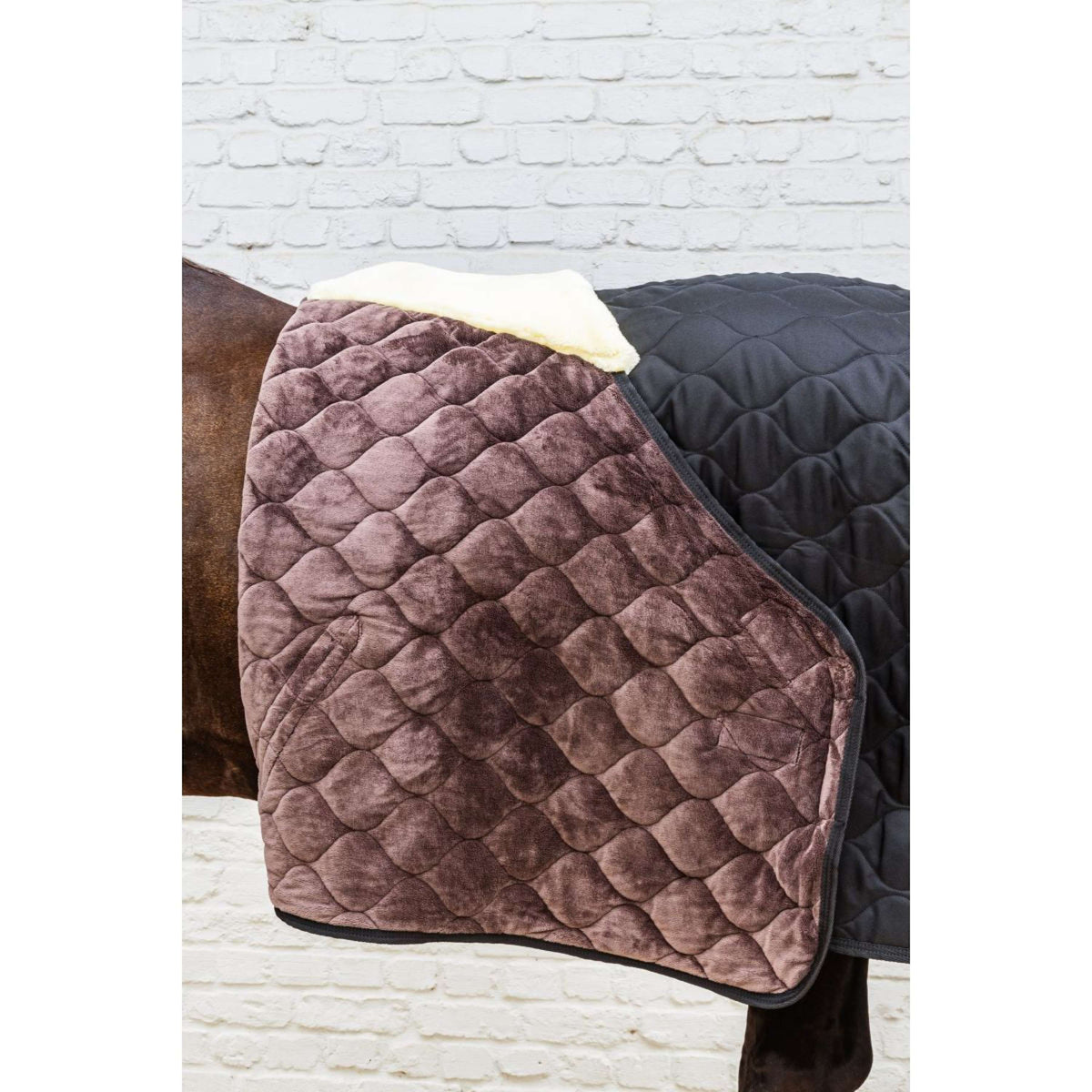 Kentucky Coperta da scuderia Comfort 300g Nero