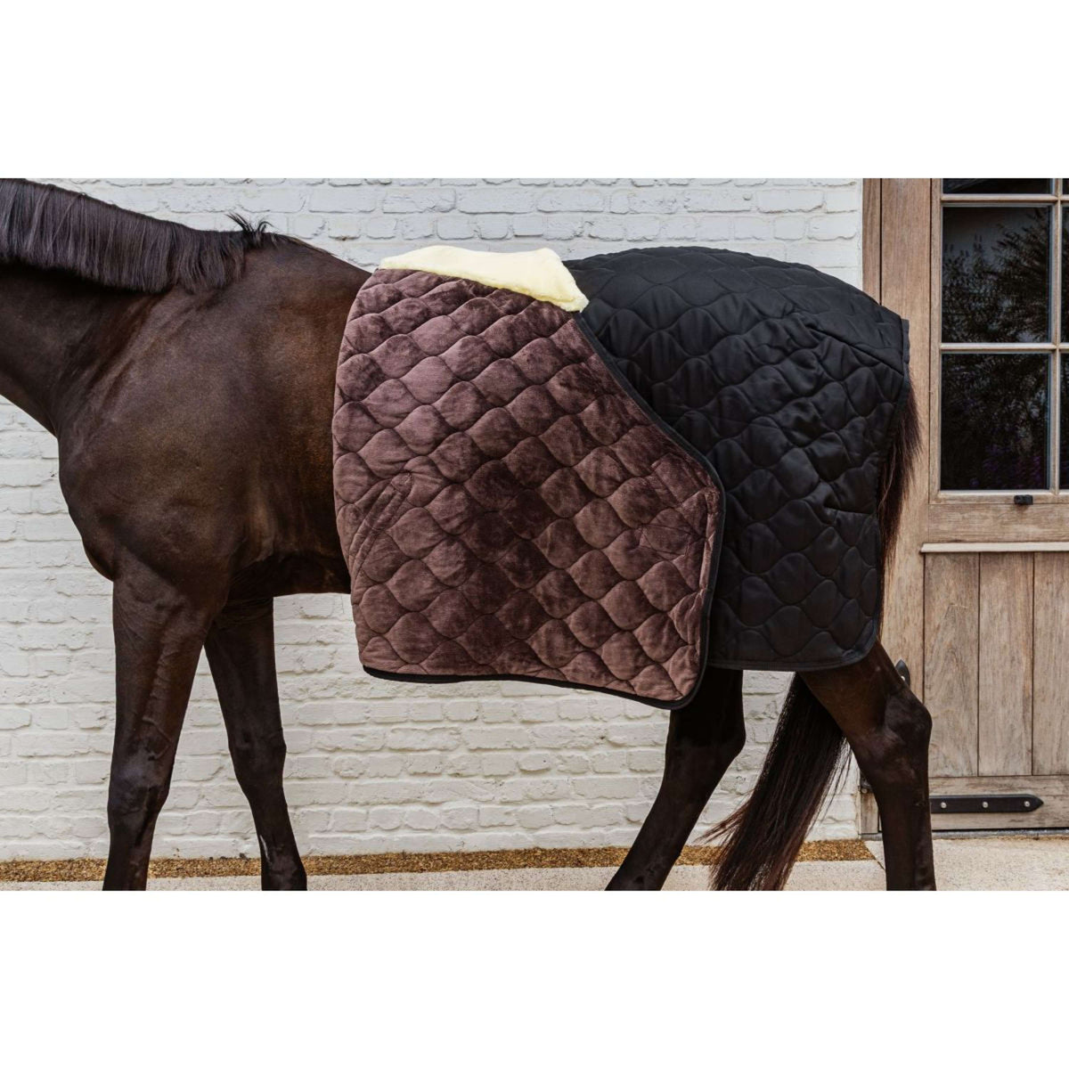 Kentucky Coperta da scuderia Comfort 300g Nero