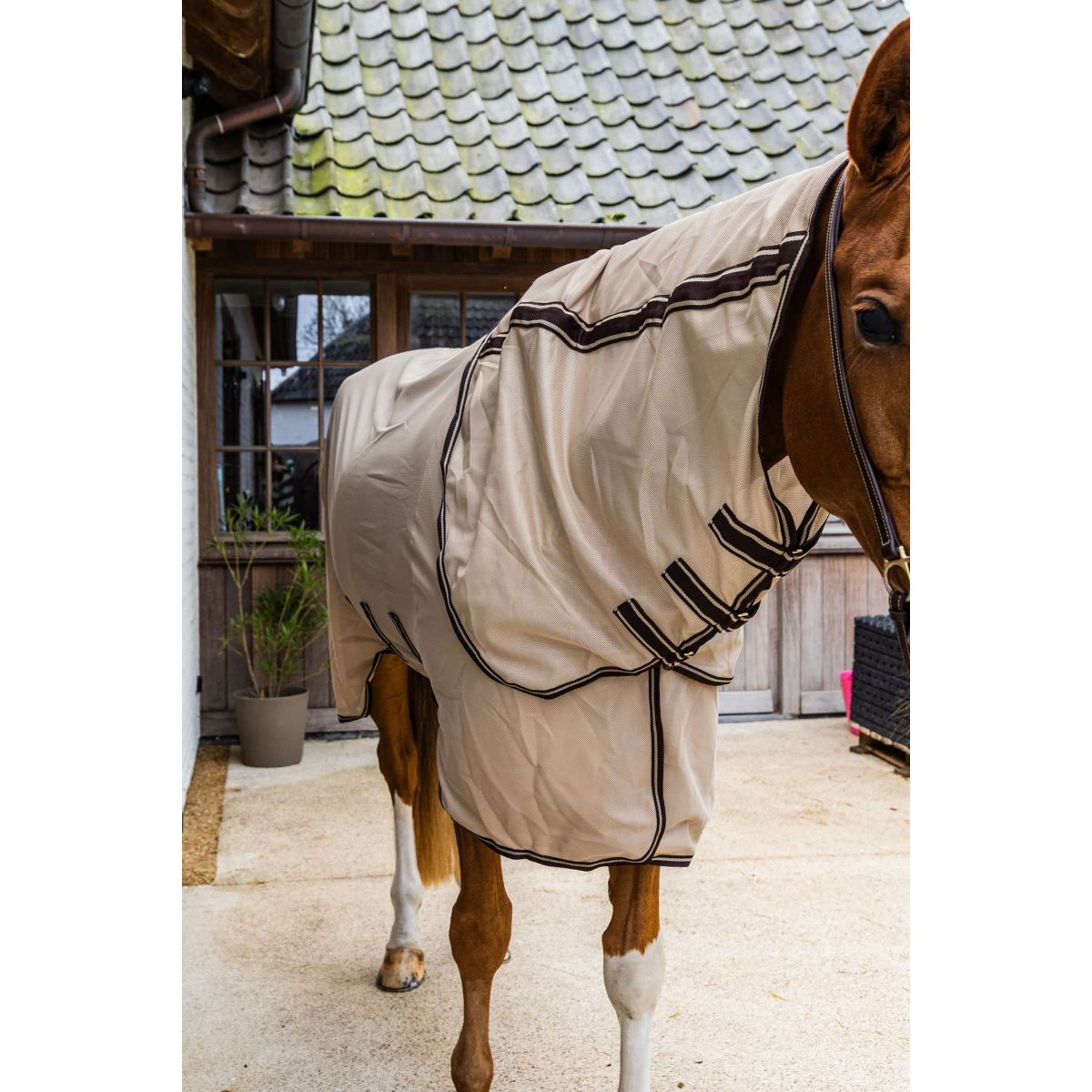 Kentucky Coperta Antimosche Comfort Mesh Beige/Marrone