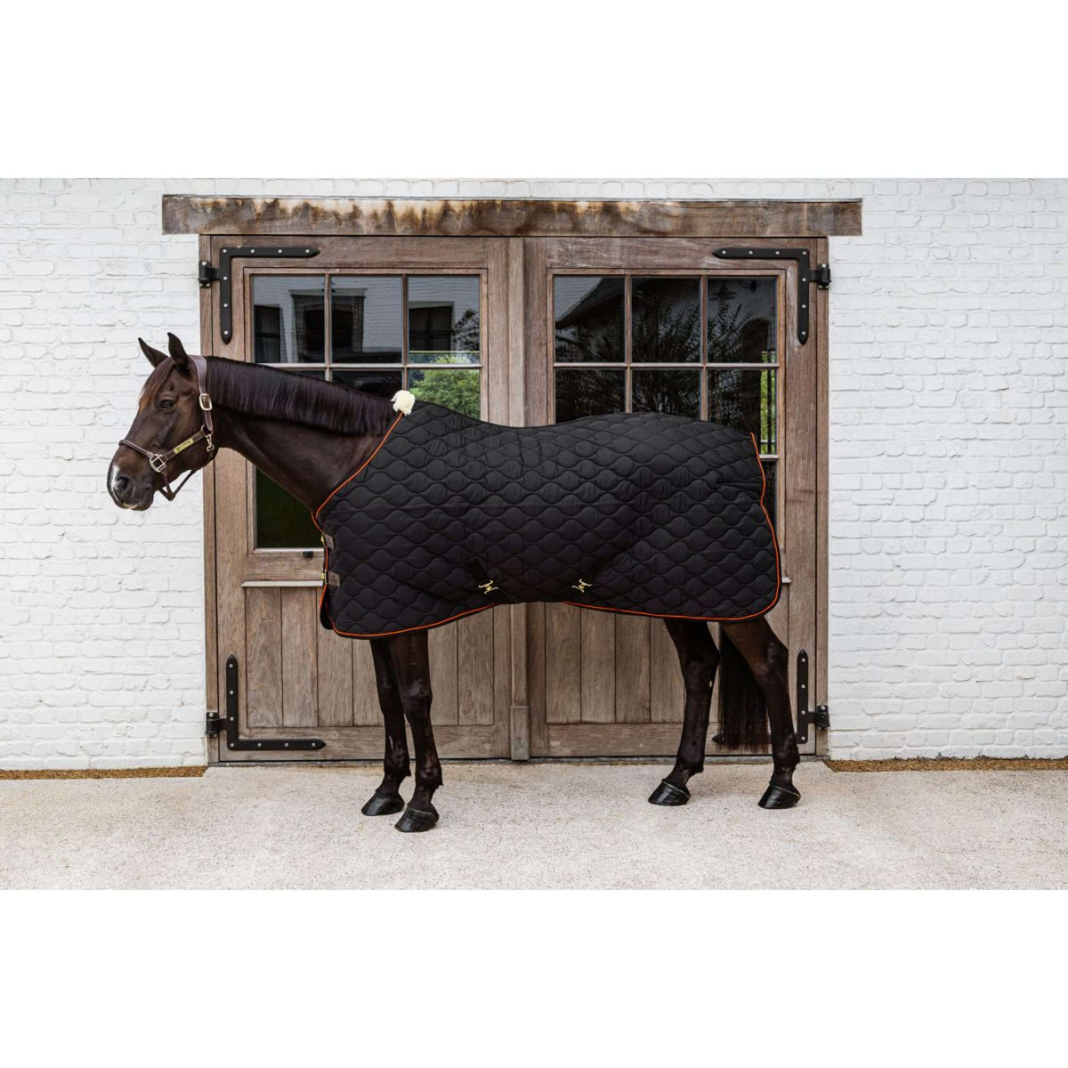 Kentucky Coperta da scuderia Wave Nero