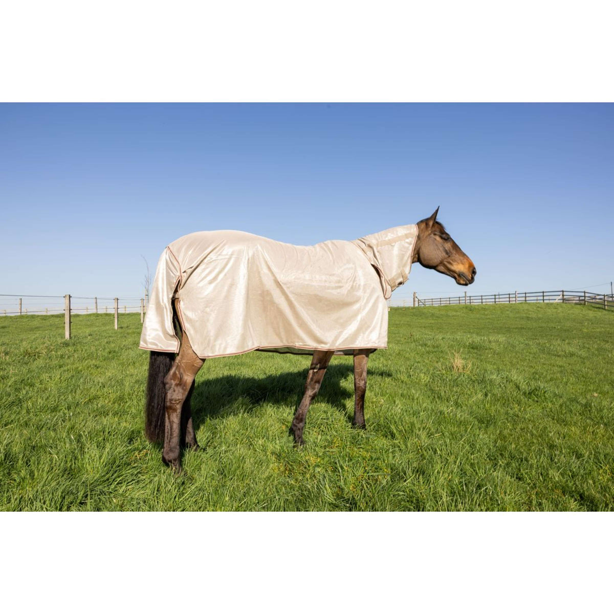 Kentucky Coperta Antimosche Comfort Mesh Classic with Neck & Belly Cover Beige/Bordeaux