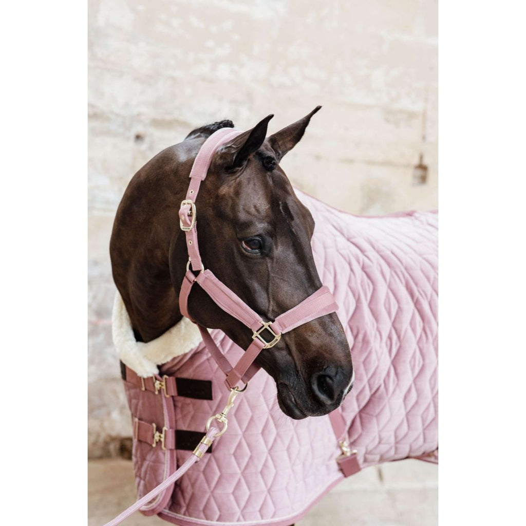 Kentucky Horsewear Cavezza Velvet Rosa antico