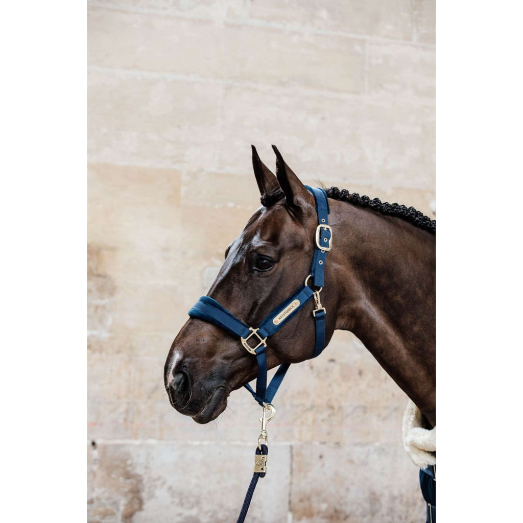 Kentucky Horsewear Cavezza Velvet Navy