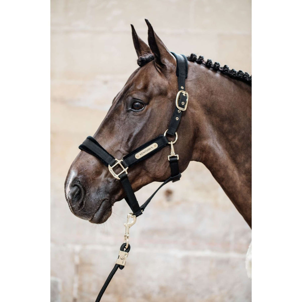 Kentucky Horsewear Cavezza Velvet Nero