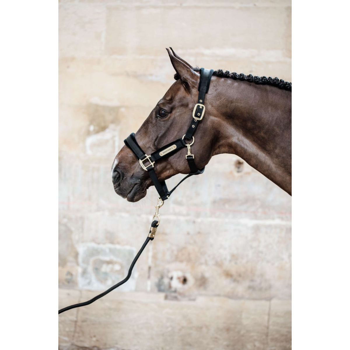 Kentucky Horsewear Capezzina Velvet Nero