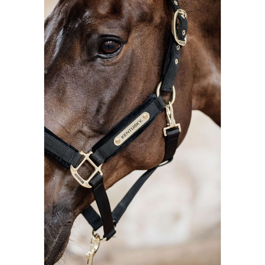 Kentucky Horsewear Cavezza Velvet Nero