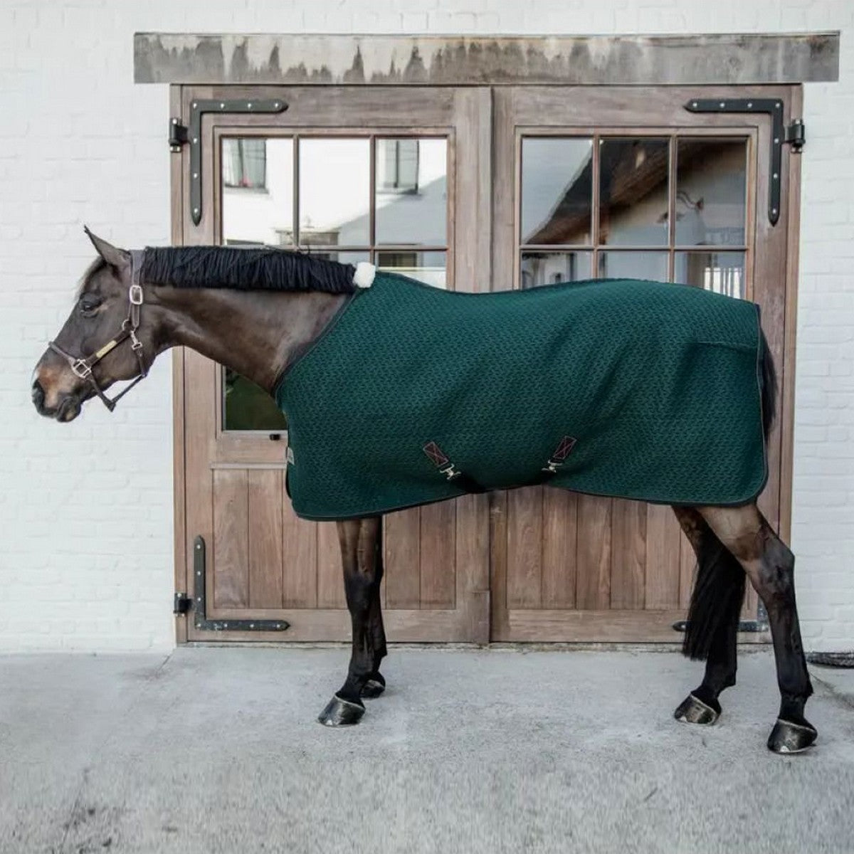 Kentucky Horsewear Coperta Rinfrescante 4D Distanziatore Pine Green