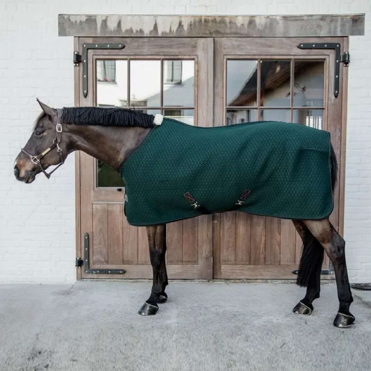 Kentucky Horsewear Coperta Rinfrescante 4D Distanziatore Pine Green