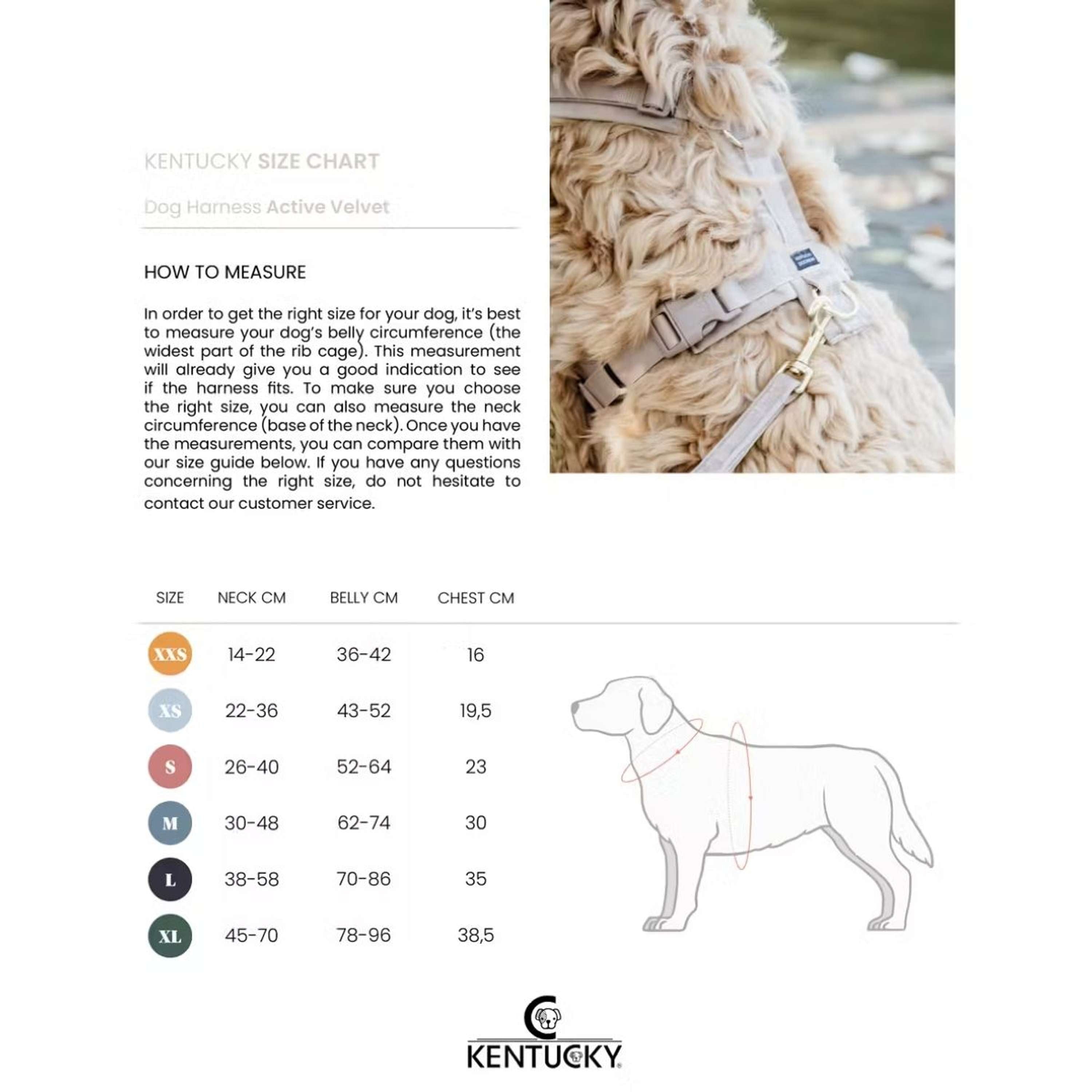Kentucky Dogwear Imbracatura Active Velvet Pine Green