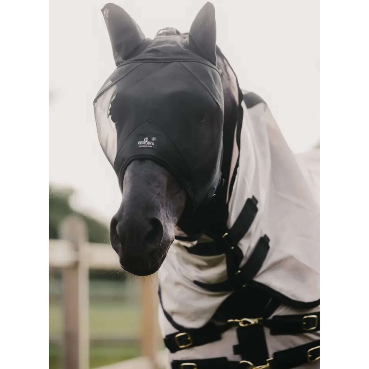 Kentucky Horsewear Maschera per Mosche Classic Nero