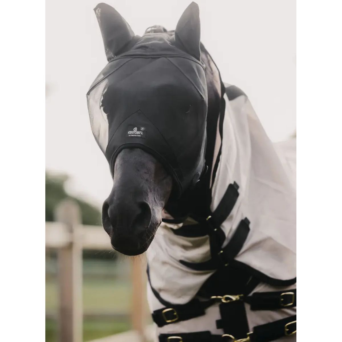 Kentucky Horsewear Maschera per Mosche Classic Nero