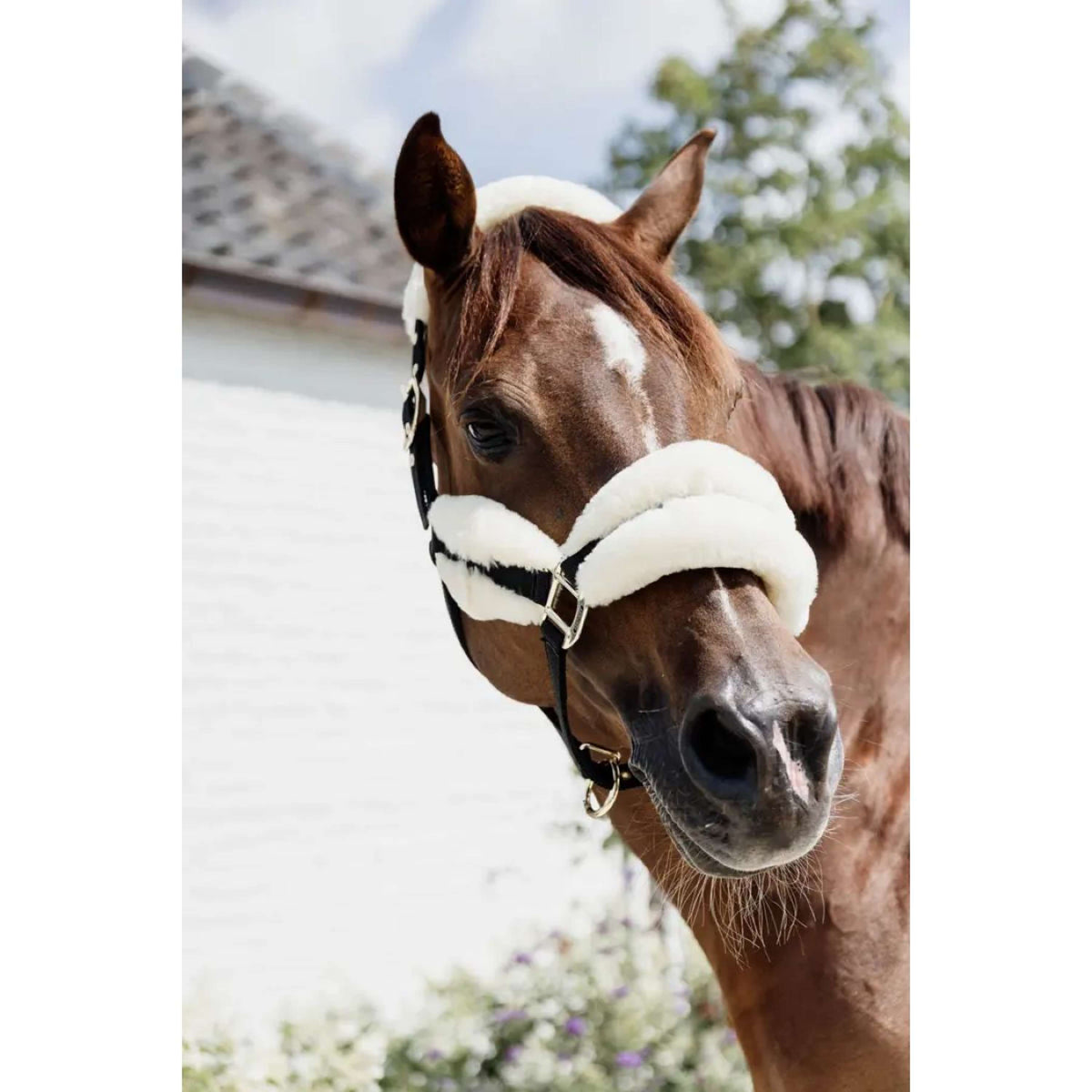 Kentucky Horsewear Capezzina Naturale
