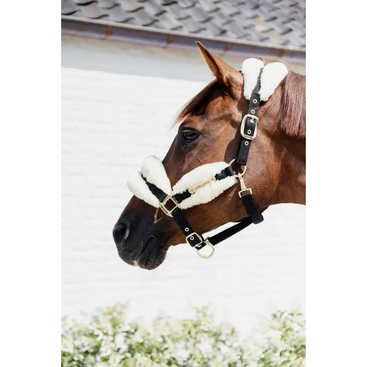Kentucky Horsewear Capezzina Naturale