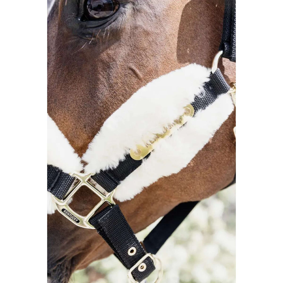 Kentucky Horsewear Capezzina Naturale