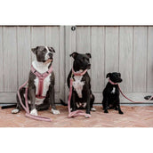 Kentucky Dogwear Imbracatura Teddy Fleece Rosa antico