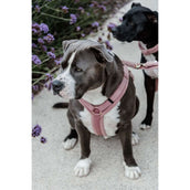 Kentucky Dogwear Imbracatura Teddy Fleece Rosa antico