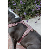 Kentucky Dogwear Imbracatura Teddy Fleece Rosa antico