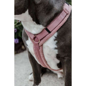 Kentucky Dogwear Imbracatura Teddy Fleece Rosa antico