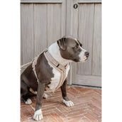 Kentucky Dogwear Imbracatura Teddy Fleece Beige