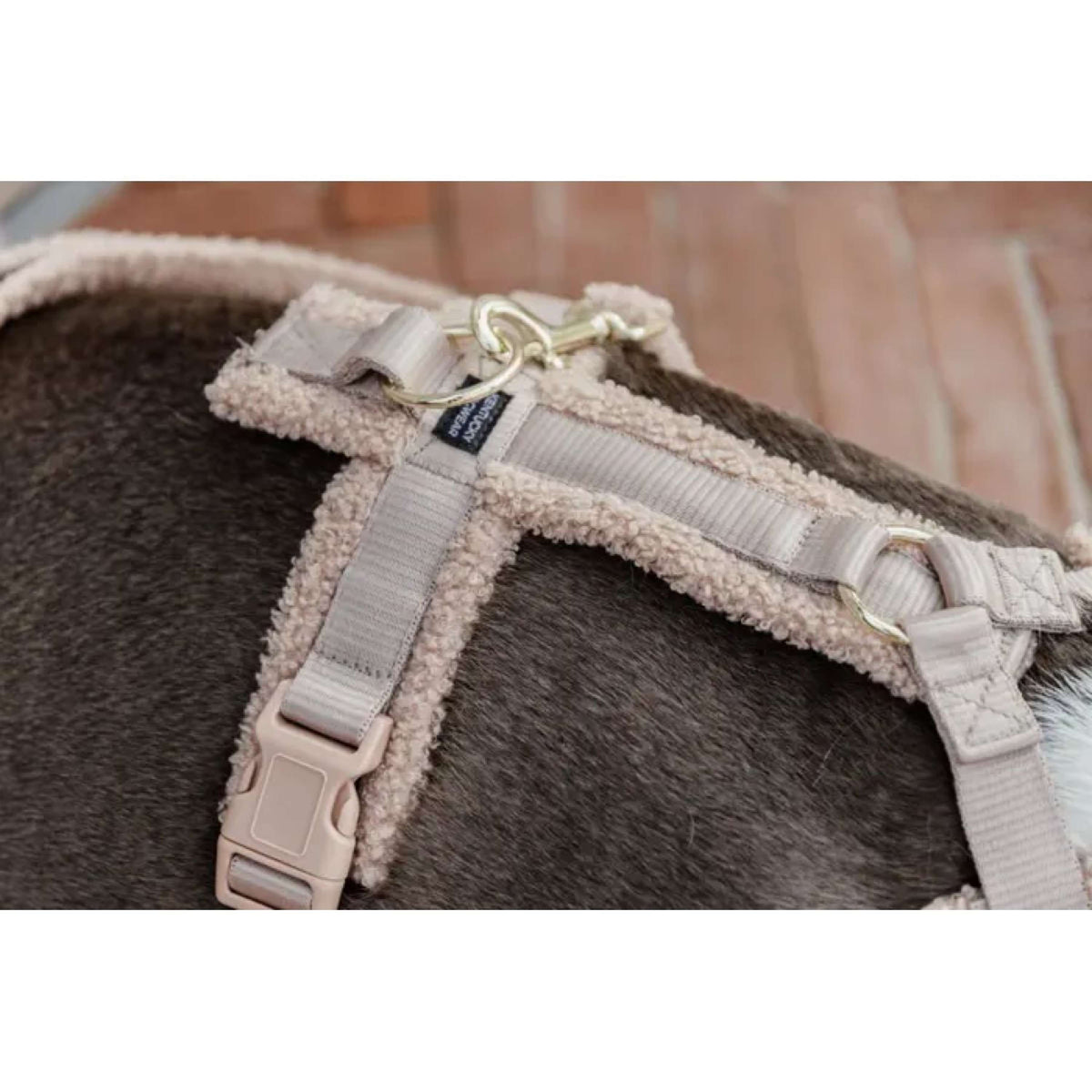 Kentucky Dogwear Imbracatura Teddy Fleece Beige