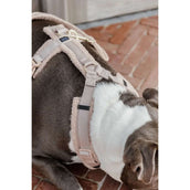 Kentucky Dogwear Imbracatura Teddy Fleece Beige