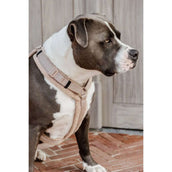 Kentucky Dogwear Imbracatura Teddy Fleece Beige
