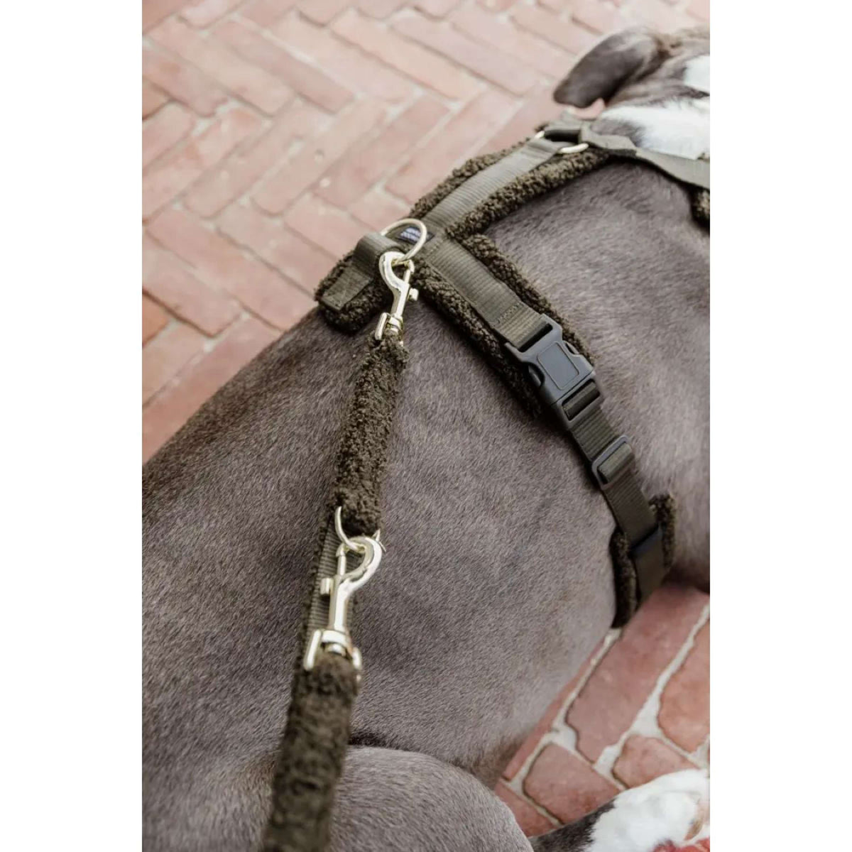 Kentucky Dogwear Imbracatura Teddy Fleece Pine Green