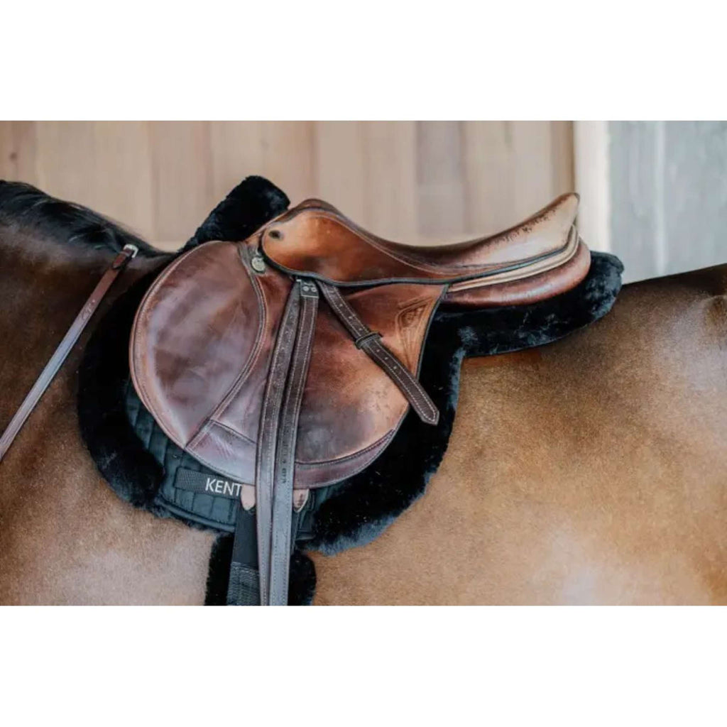 Kentucky Horsewear Sottosella da Salto Hunter Nero