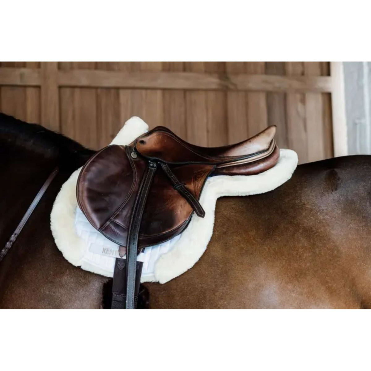 Kentucky Horsewear Sottosella da Salto Hunter Naturale