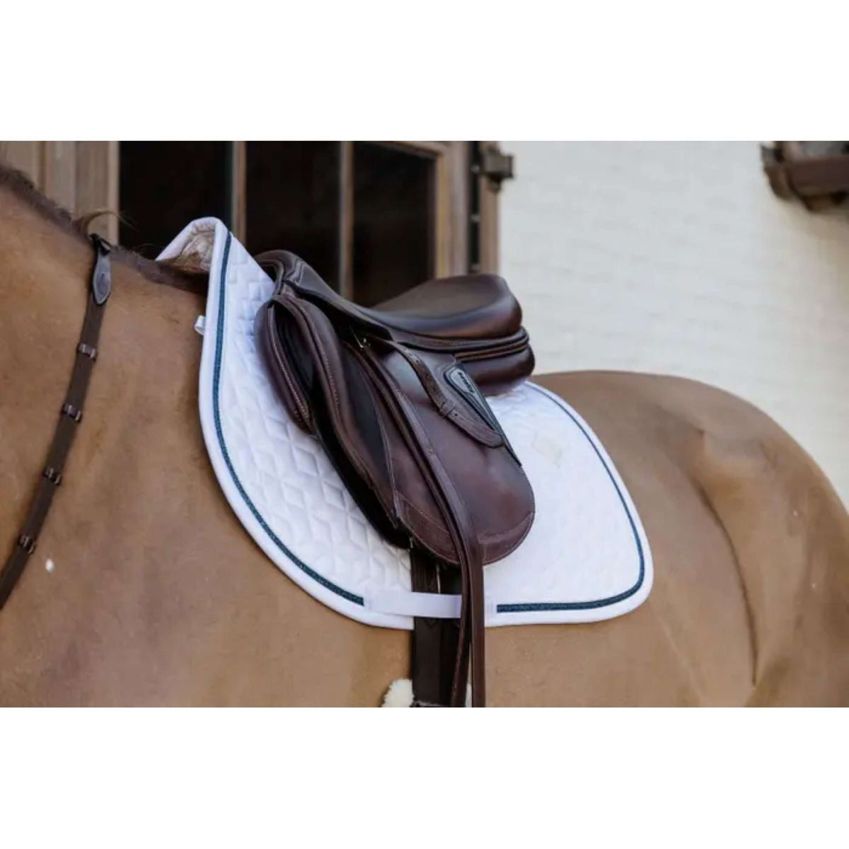 Kentucky Horsewear Sottosella Glitter Rope Springen Bianco/blu marino