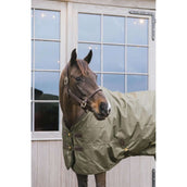 Kentucky Turnout All Weather 160g Cachi