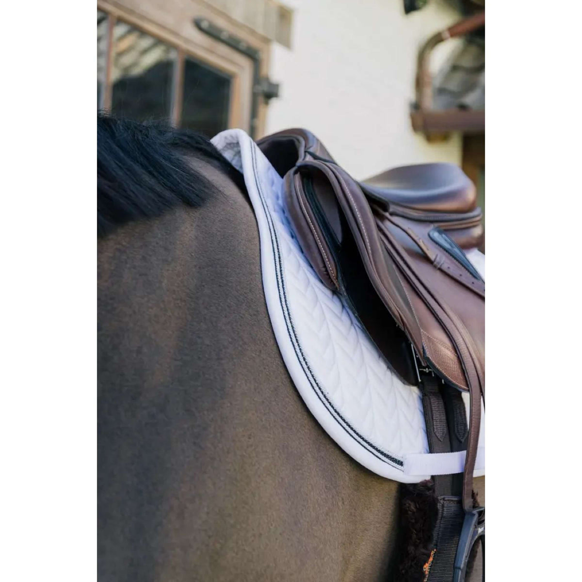 Kentucky Horsewear Sottosella Metal Chain Springen Bianco