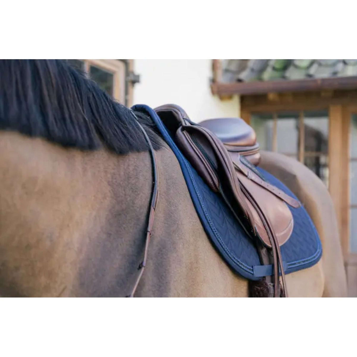 Kentucky Horsewear Sottosella Metal Chain Springen Navy