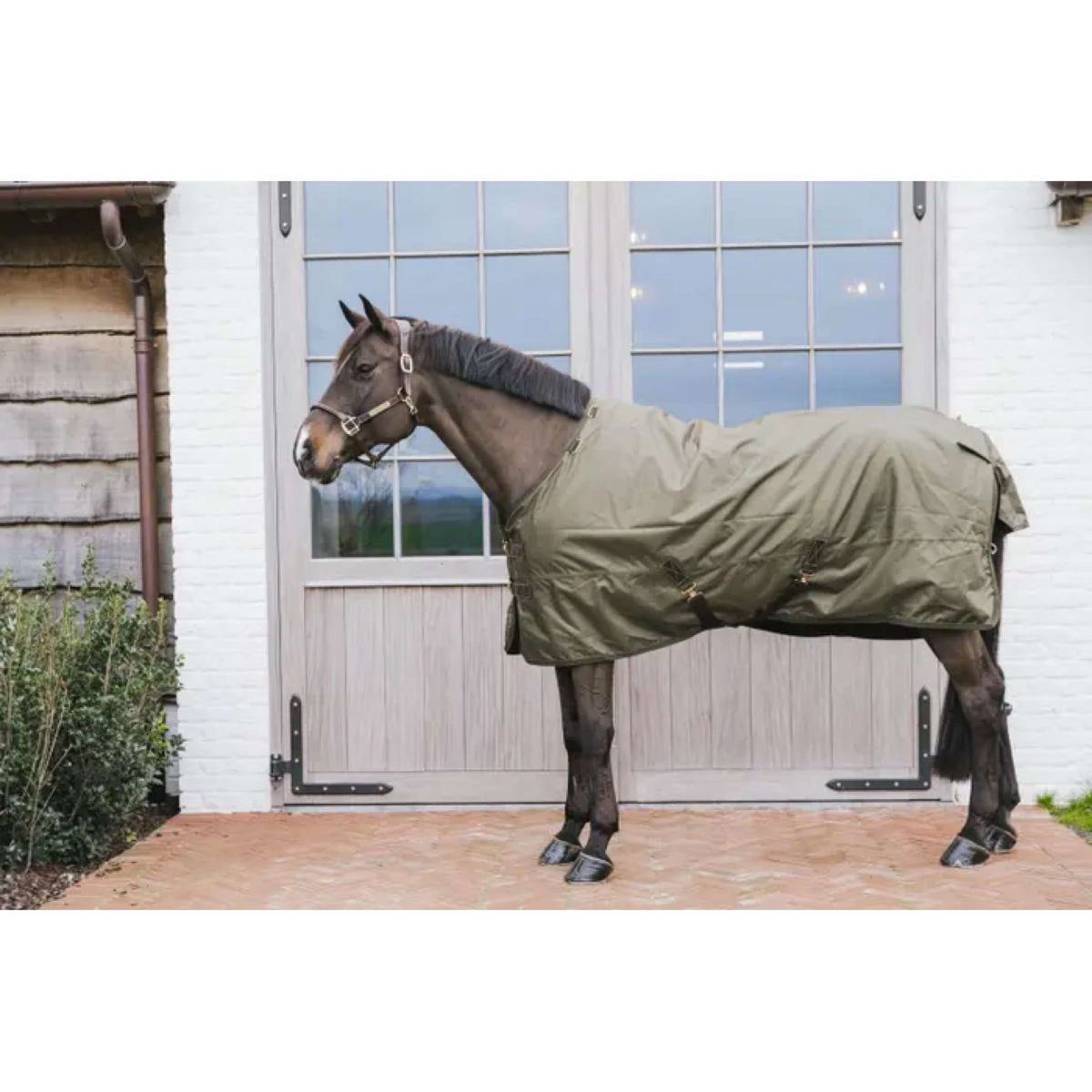 Kentucky Turnout All Weather 160g Cachi