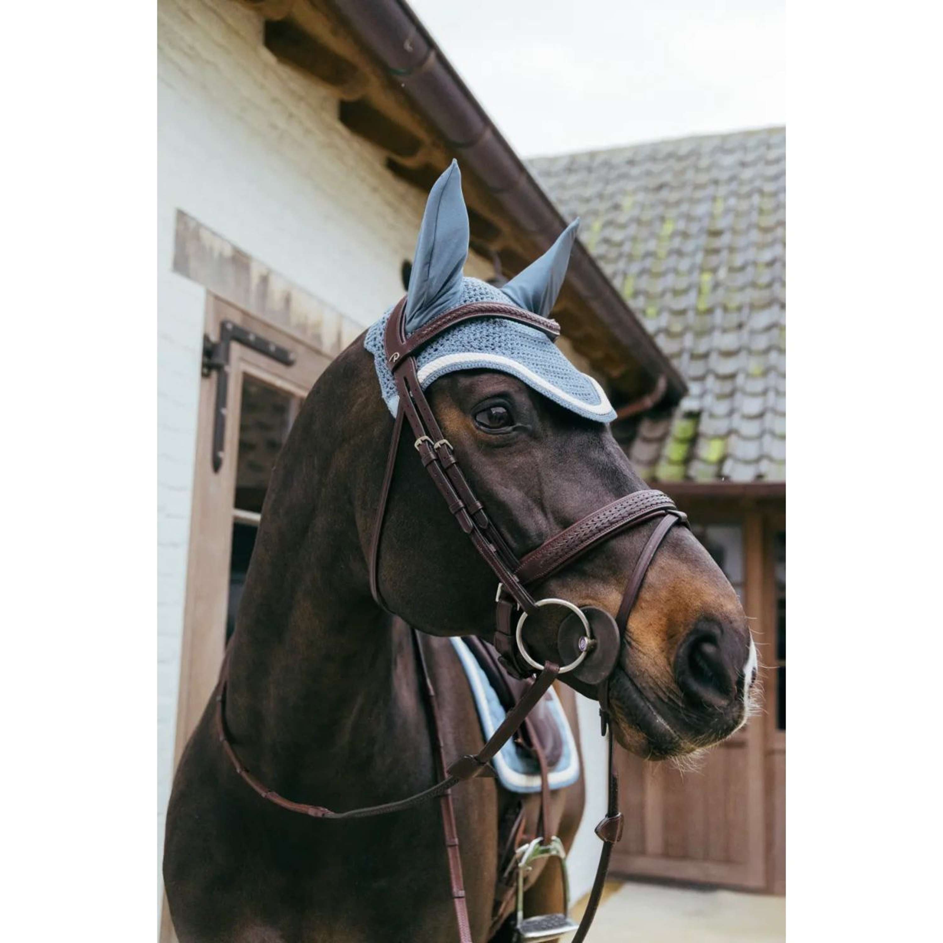 Kentucky Horsewear Cuffietta Wellington Azzurro