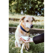 Kentucky Horsewear Halsband Nylon intrecciato per cani Navy
