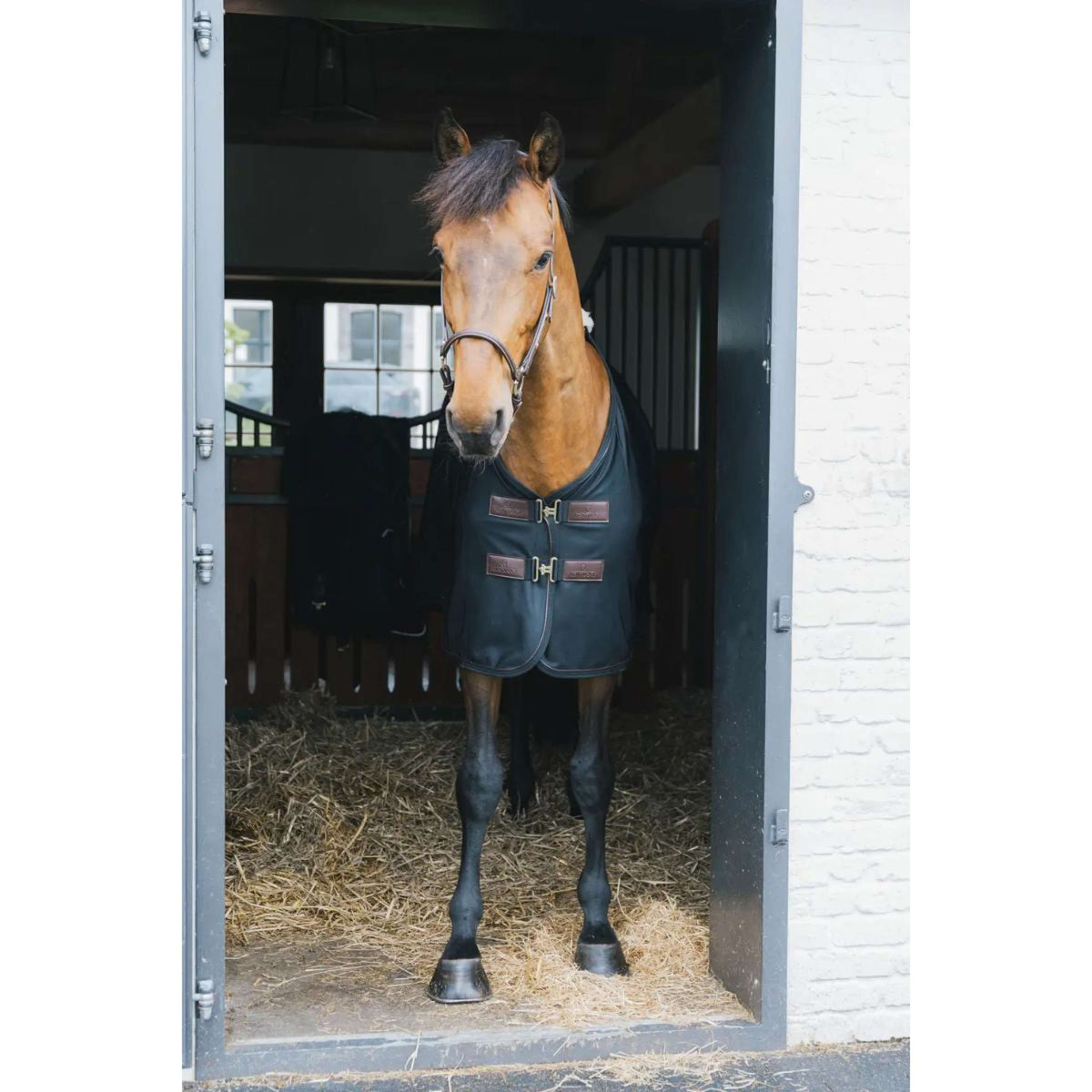 Kentucky Coperta antimosche Mesh Nero