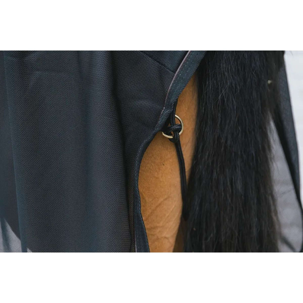 Kentucky Coperta antimosche Mesh Nero