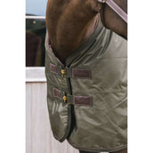 Kentucky Turnout All Weather 160g Cachi