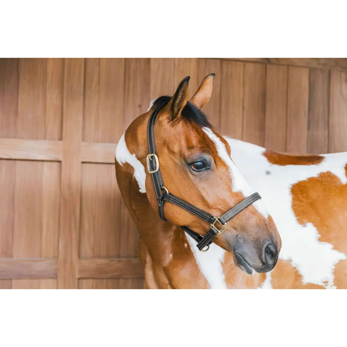 Kentucky Horsewear Capezzina in Cuoio Wellington Nero