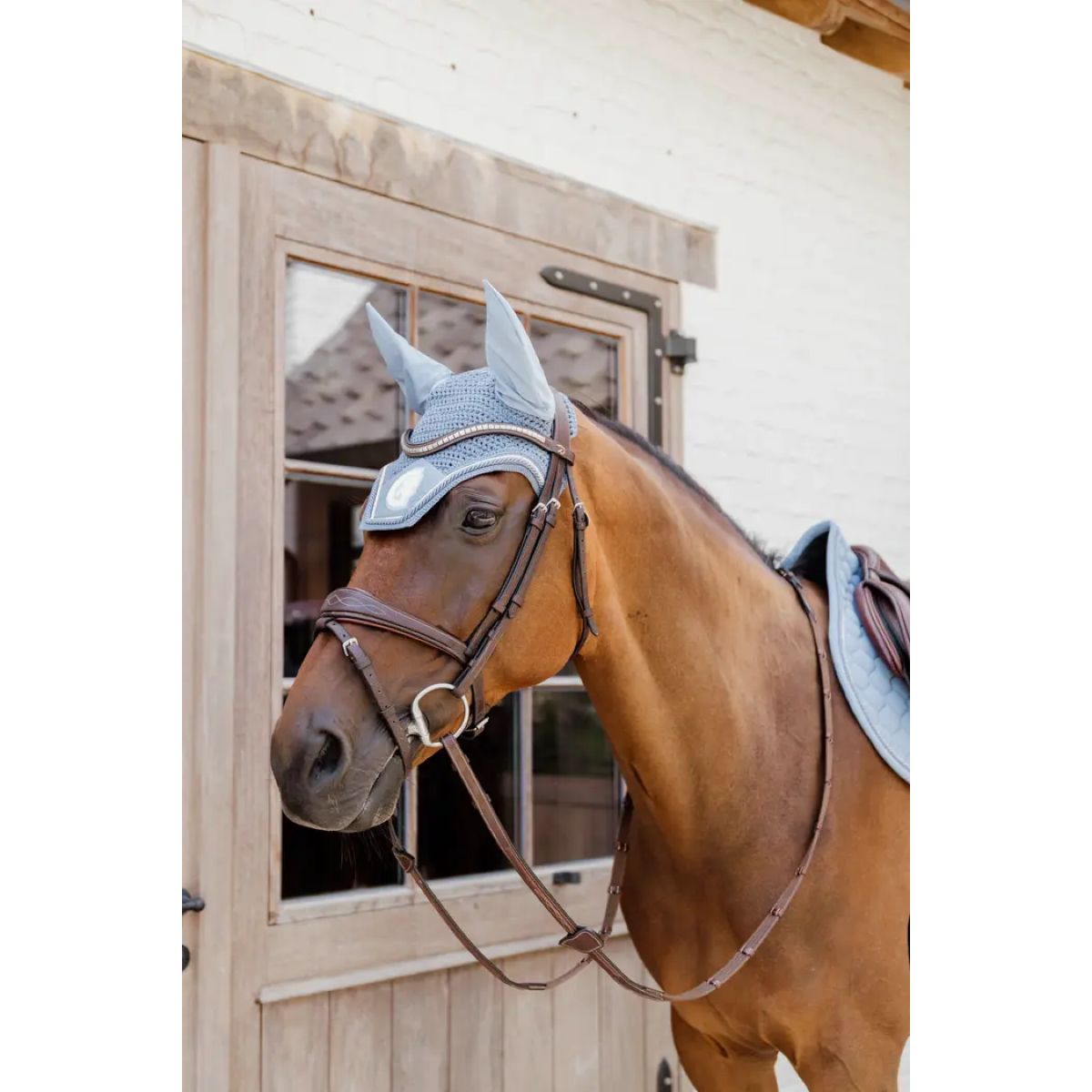 Kentucky Horsewear Cuffietta Wellington 3D Logo Azzurro