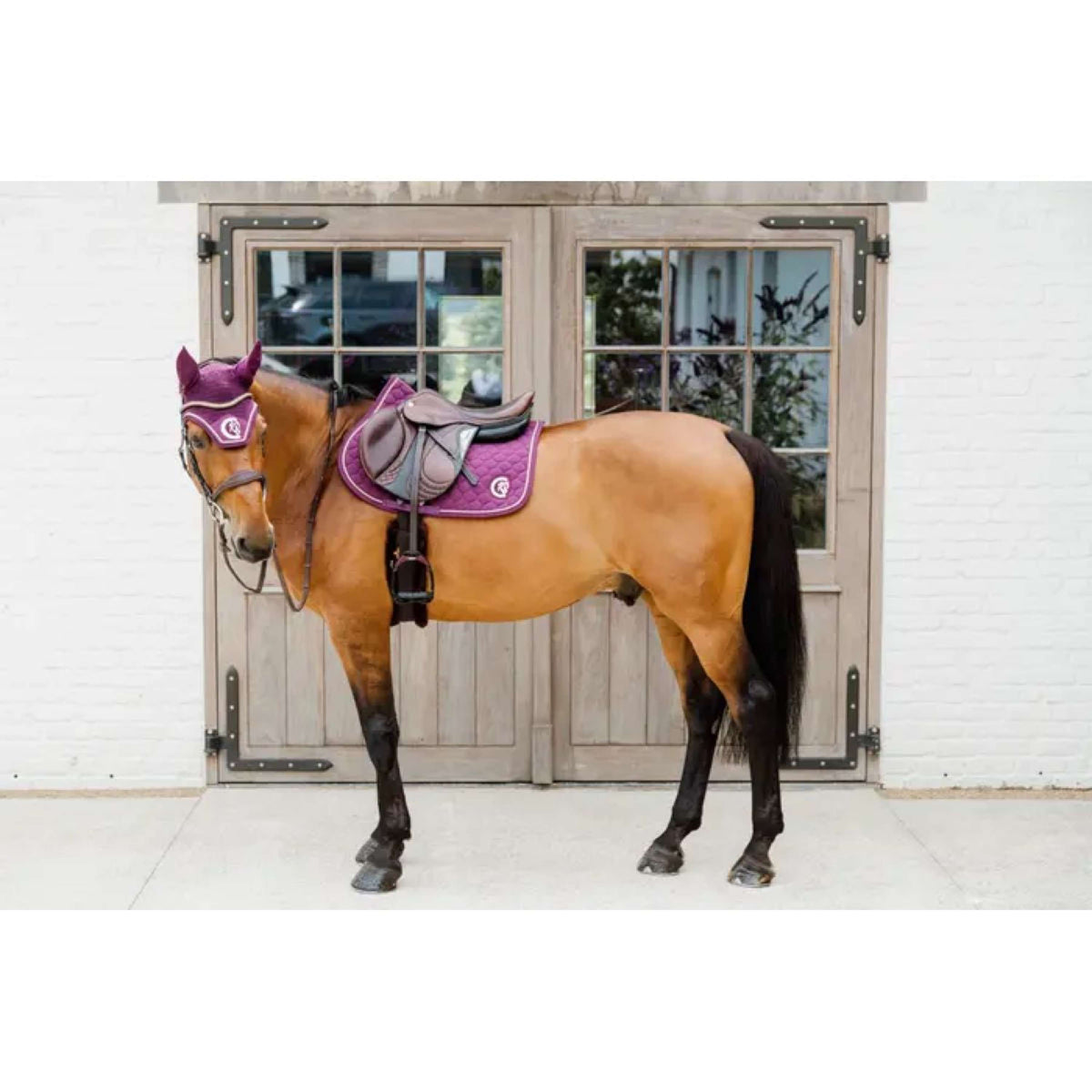 Kentucky Horsewear Cuffietta Wellington 3D Logo Viola